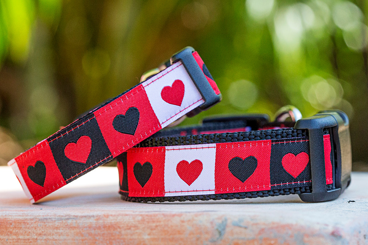 Valentine’s Day Gifts for Dogs & Dog Lovers Australian Dog Lover