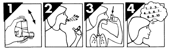 cara menggunakan inhaler berotec obat asma