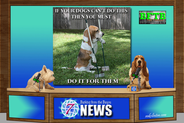BFTB NETWoof News with two dogs reporting