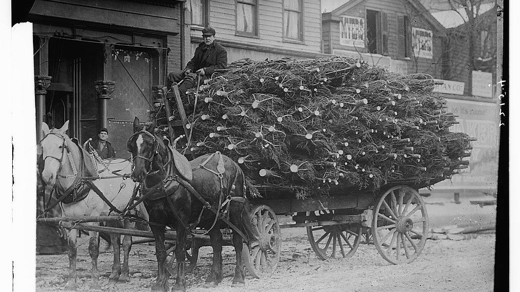 Mark Carr, the First New York City Christmas Tree Seller, And the History of New York's 