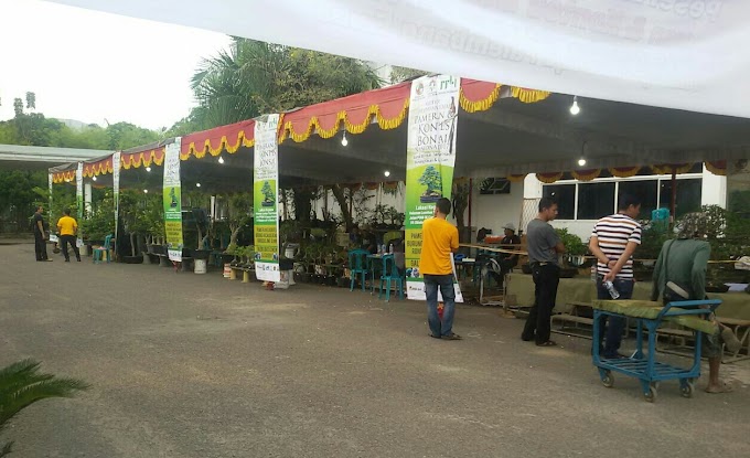 RATUSAN BONSAI SEMARAKKAN KONTES NASIONAL PPBI PALEMBANG 2017