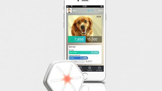 Dogtra iQPet StarWalk buy pet products, pet gifts, gift for pets
