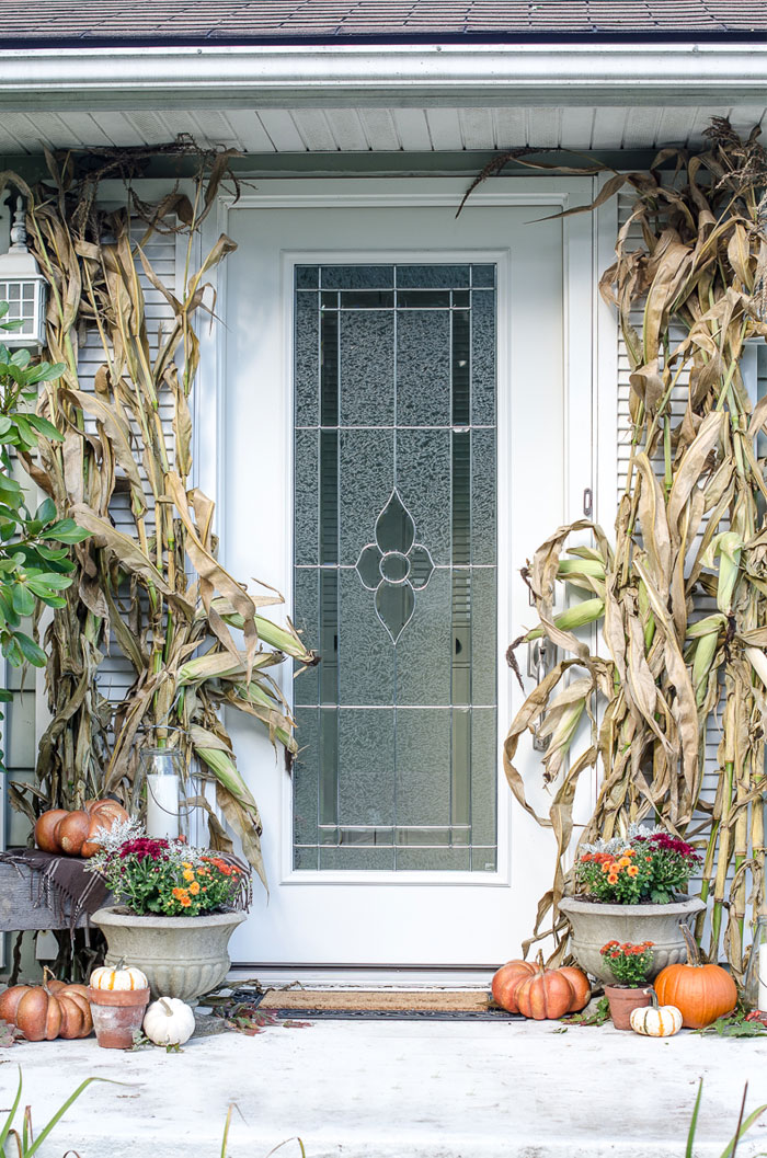 See how to transform your porch for fall using pumpkins, mums, and cornstalks.  |  www.andersonandgrant.com