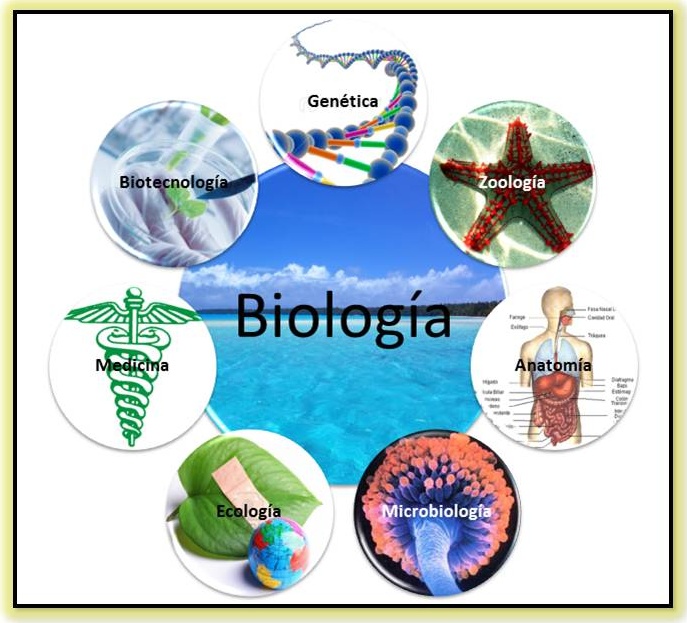 Importancia de la Biología Biopsicosalud Importancia de la Biología Biopsicosalud