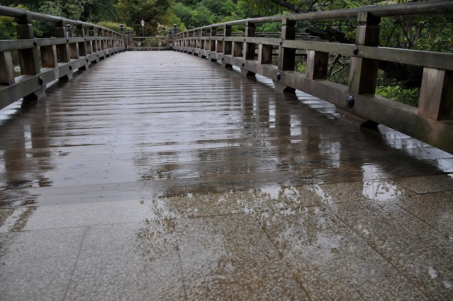 奈良公園浮見堂清掃活動