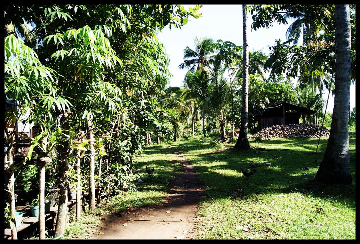 Manado House and Property For Sale