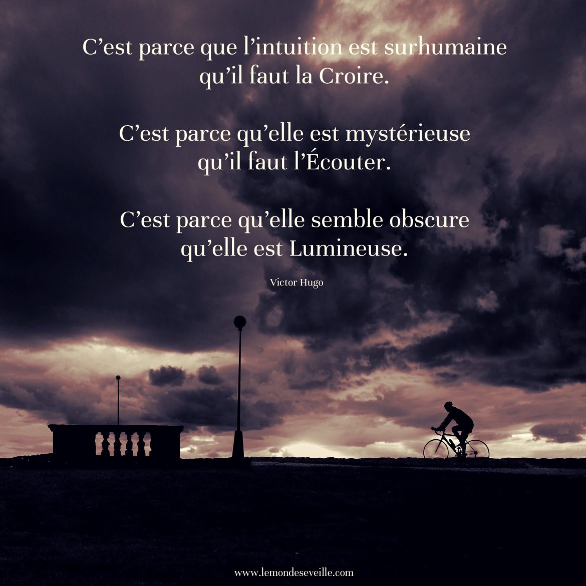 De Grands Reves A Partager Intuition