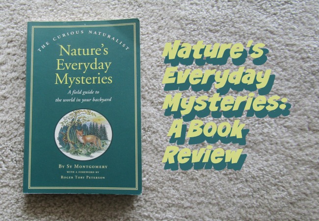 Nature's Everyday Mysteries: A Book Review 