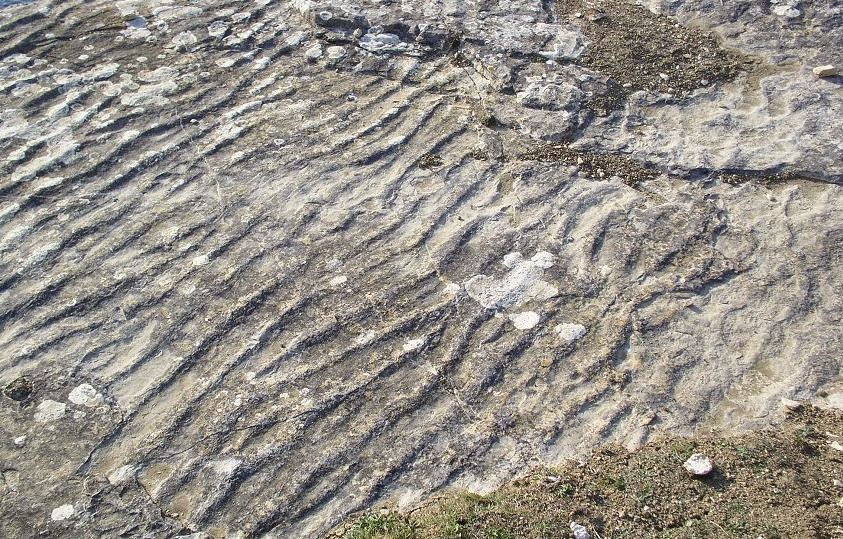 Learning Geology Sedimentary Structures learning-geology-sedimentary-structures