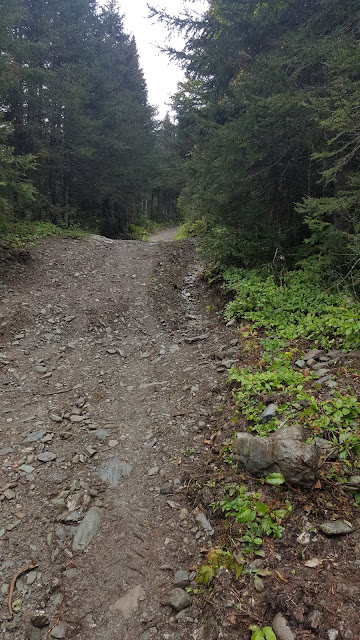 Sentier pour le Pic de l'Aube