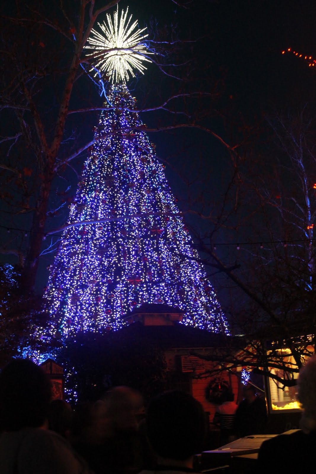 Hanging With The Hoofs Silver Dollar City Christmas Lights