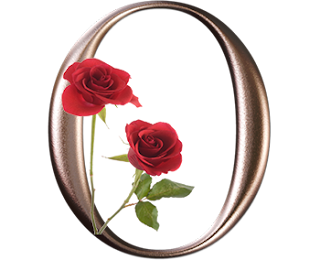 Abecedario Metalizado con Rosas Rojas. Metallic Alphabet with Red Roses.