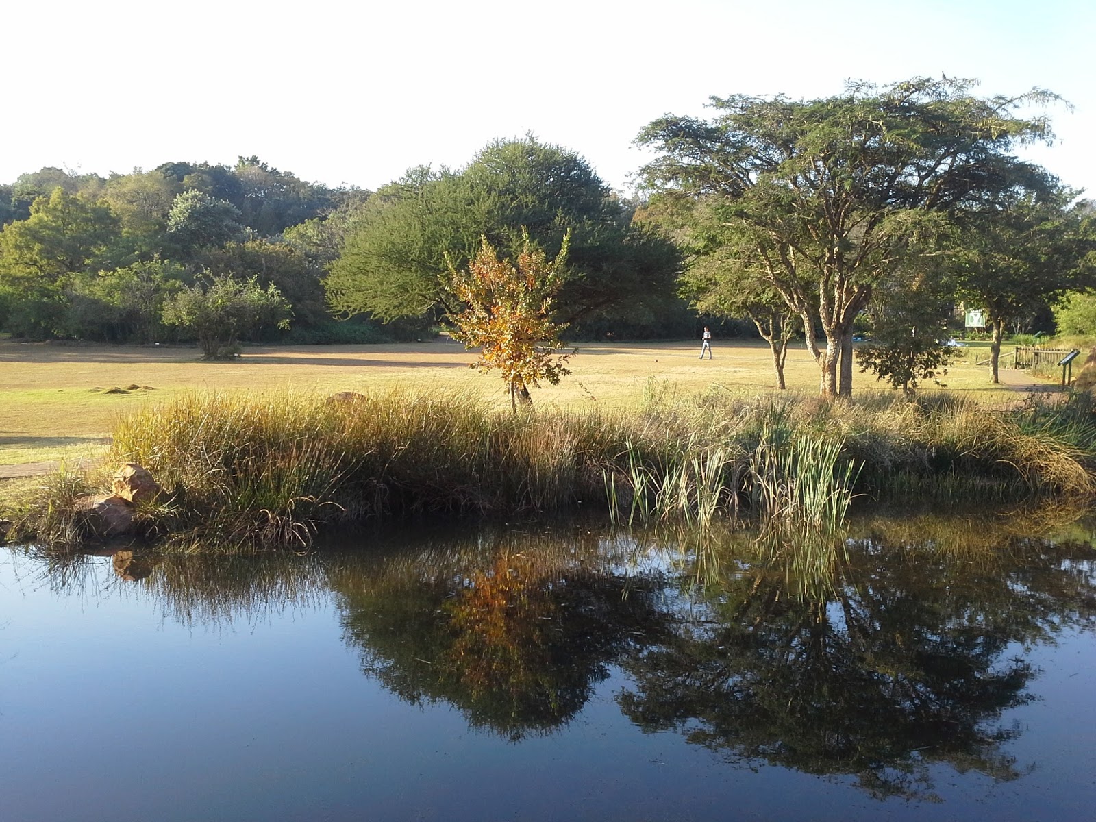 Go with Henry Sunset tea at the Pretoria Botanical gardens
