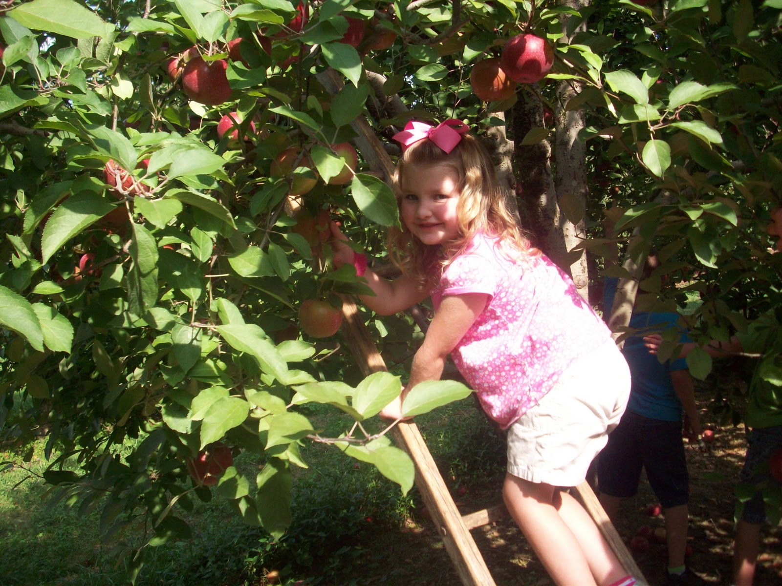 22 Blessings and Counting Apple Orchard and Petting Zoo