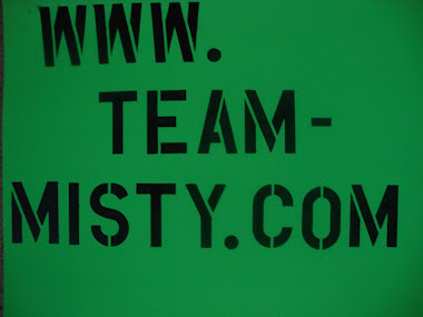Team Misty