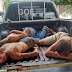 Seis suspeitos de assalto ao banco Sicredi morrem em confronto com a polícia