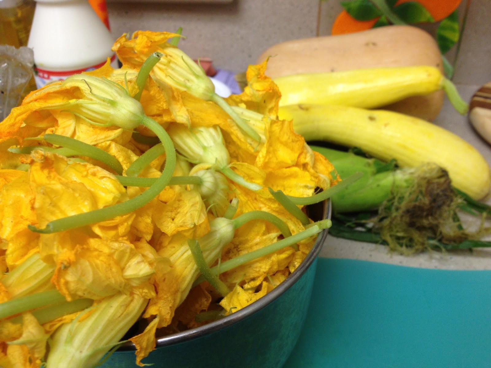 Head in the Clouds and Beyond Squash Blossom Trio