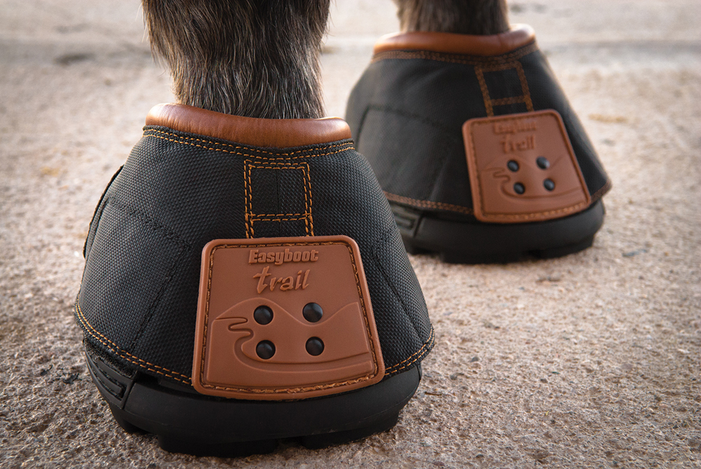 Horse Riding Advice Farrier trimming your barefoot horse? We have the