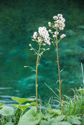 克羅地亞, 十六湖, 上湖, Plitvice Lakes National Park (Upper)