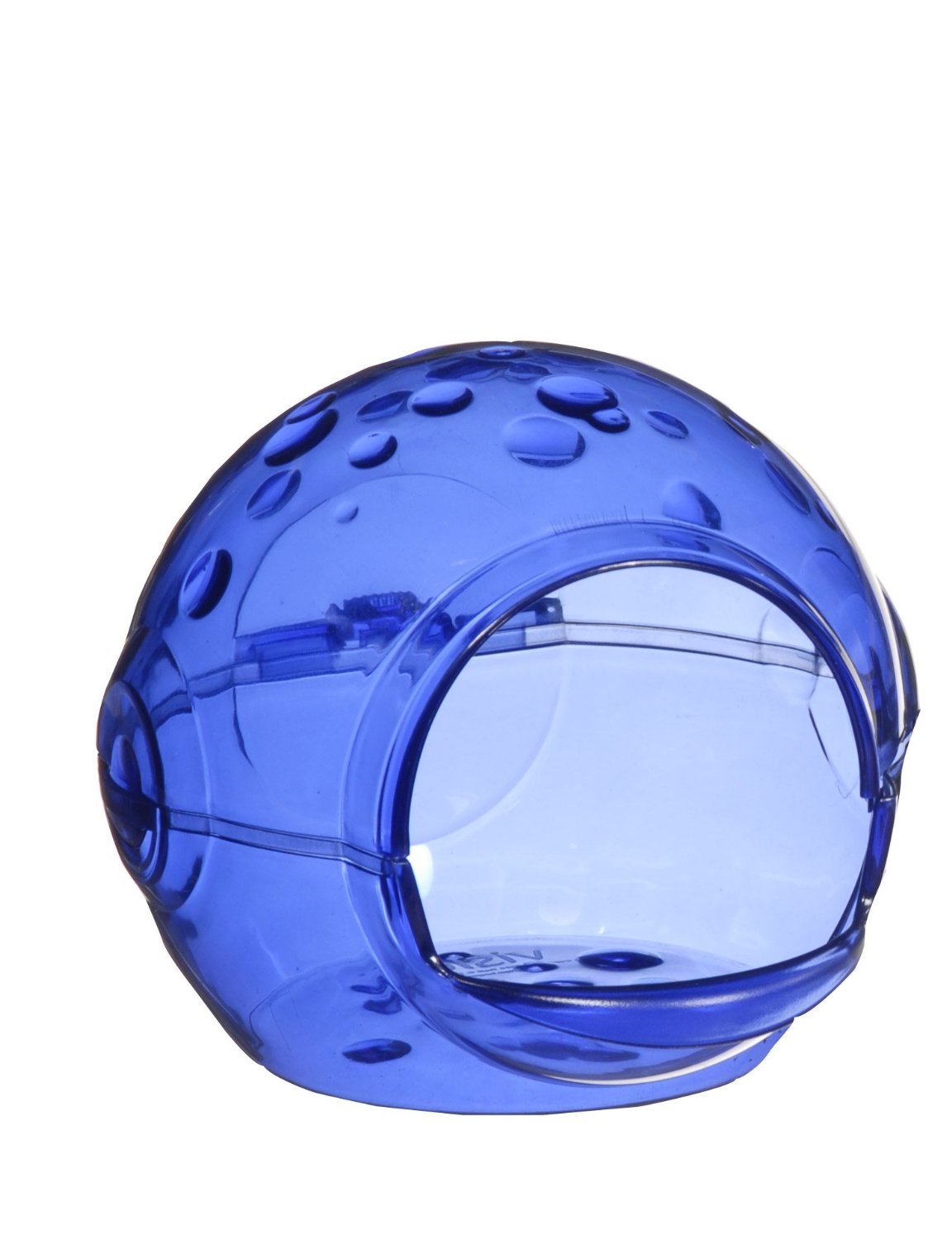 Bird In Everything Parakeet Bird Bath