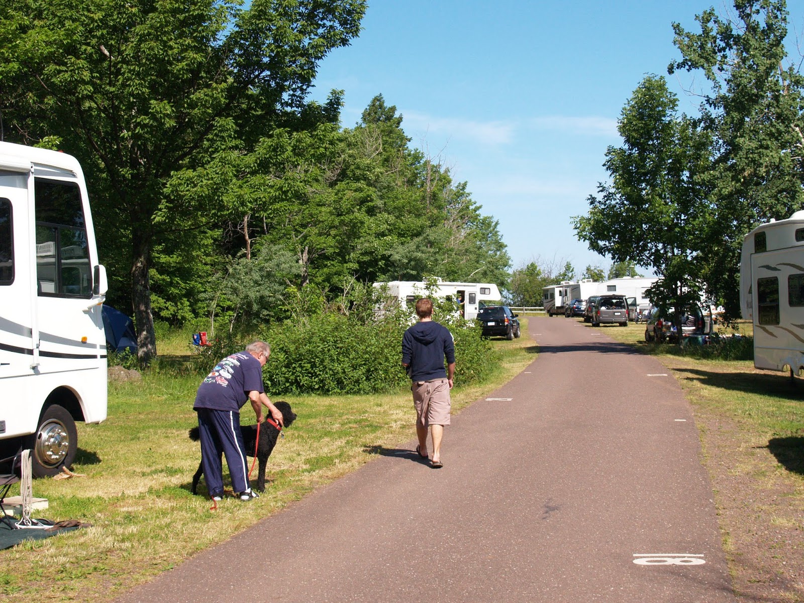 Paws in the Parks Bringing Dogs to Michigan State Parks The Voice