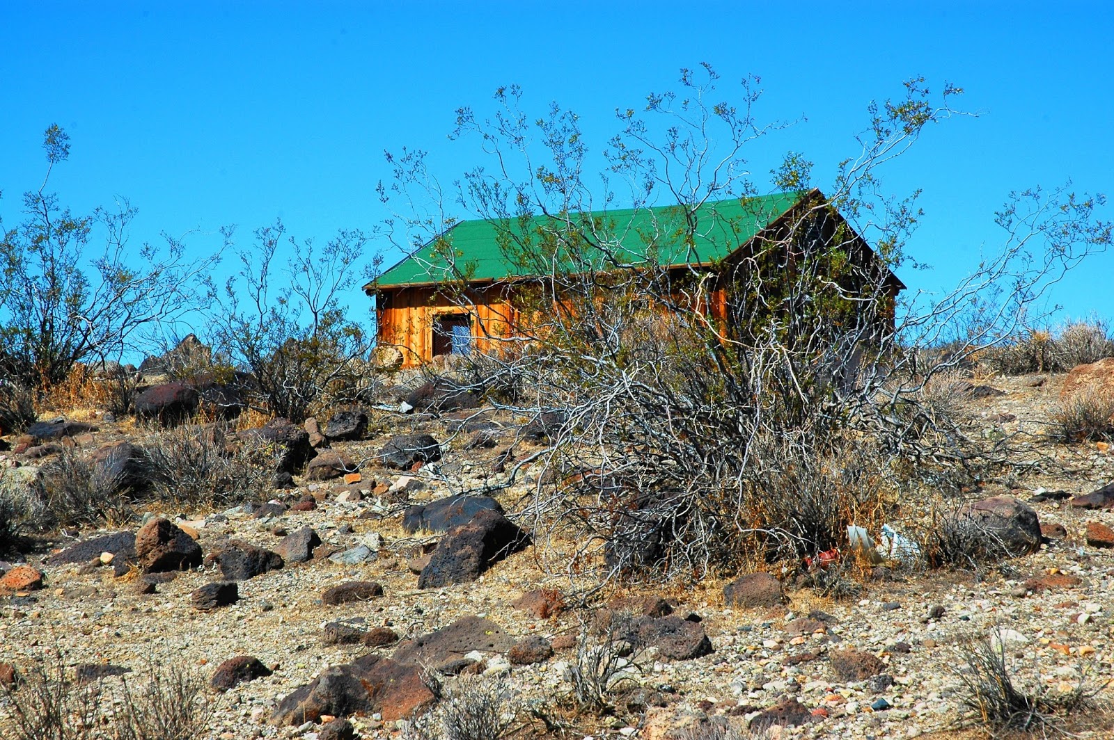 Mojave Desert Diary... Mojave Desert. Bonanza Gulch...
