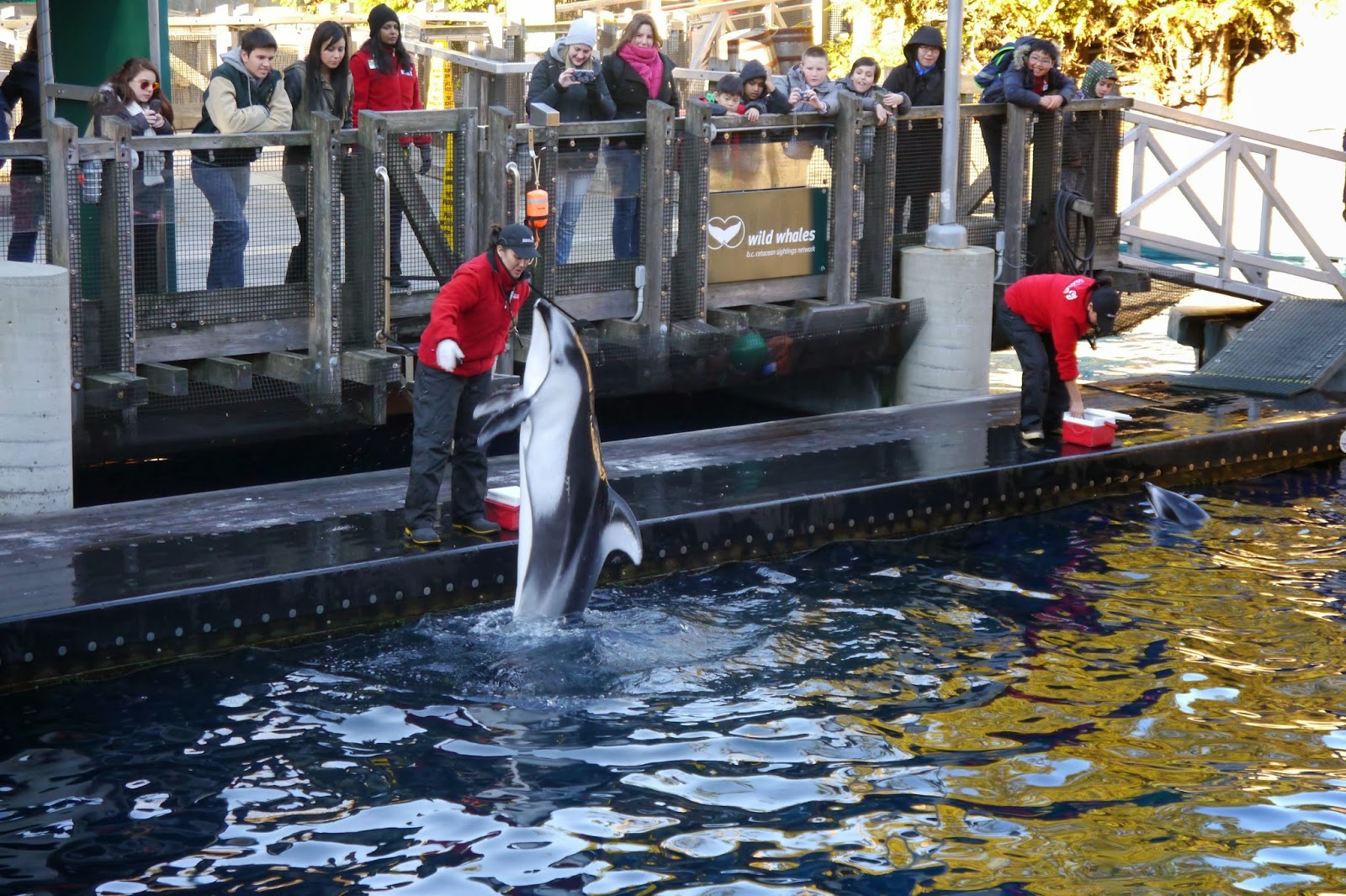 Billanook College Sports and Snow Tour 2013 Day 6 Vancouver Aquarium