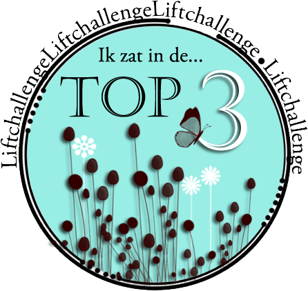 Top 3 behaald