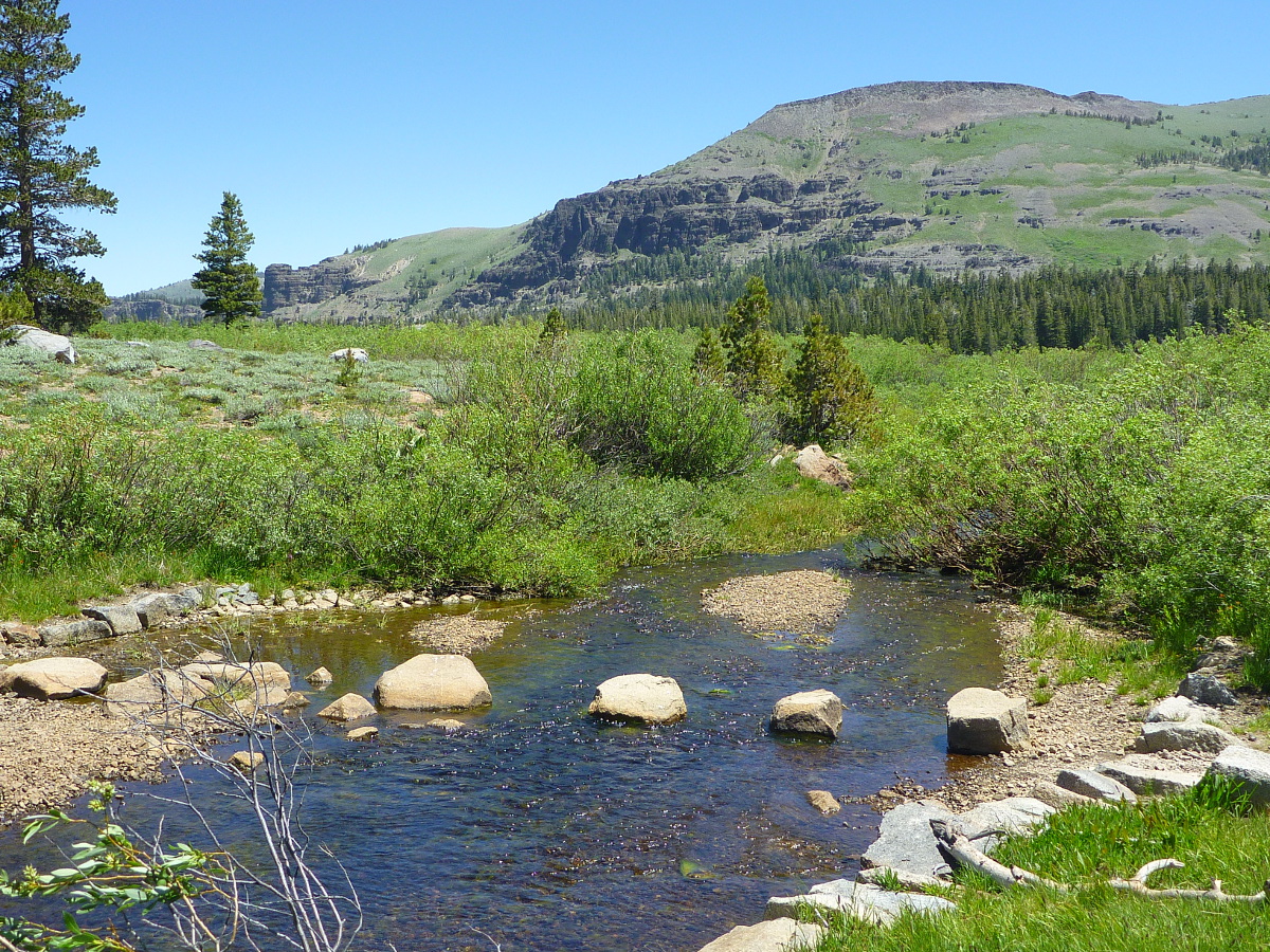 Trailing Ahead To Showers Lake via PCT from Meiss Meadows Trailhead
