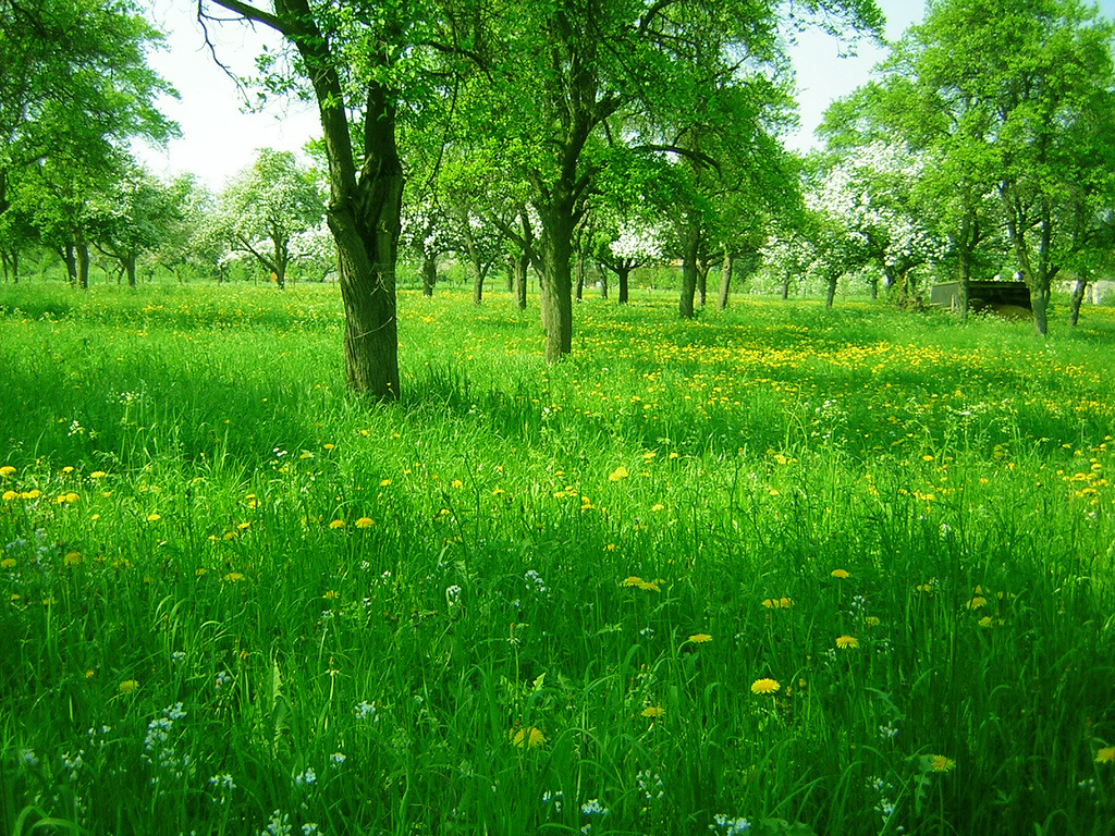 Free Nature Scenes Slideshow Free Nature Scenes Slideshow