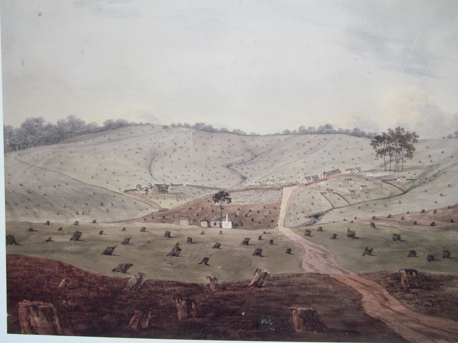 History Services Blog Castle Hill Heritage Park