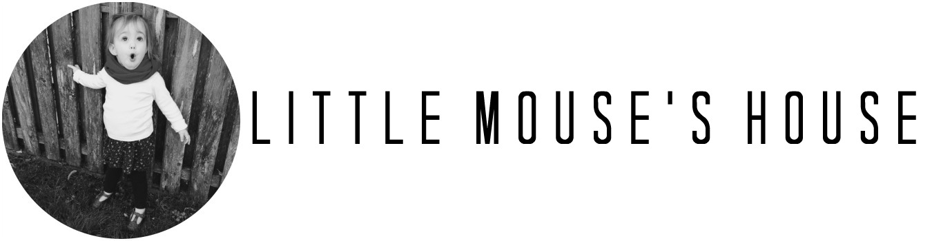 Little Mouse's House