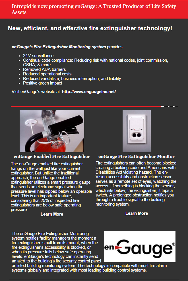 Intrepid Electronic Systems, Inc. Intrepid Electronic Systems is now