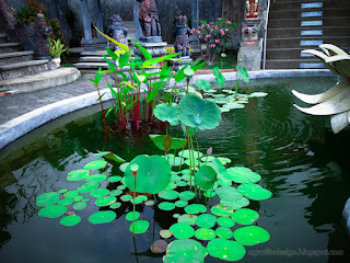 Sweet Garden Pond With Lotus Flower Plants In The Yard Of Buddhist Monastery In Bali Indonesia