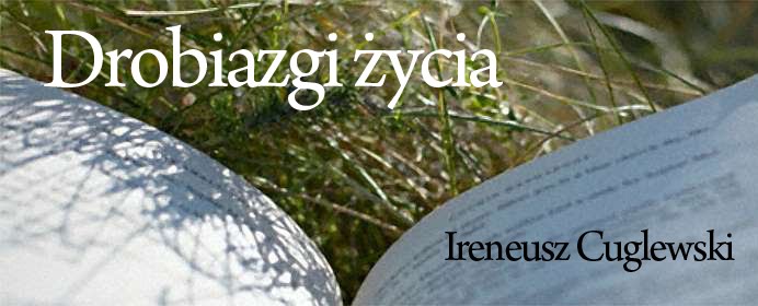 Drobiazgi Życia - Ireneusz Cuglewski