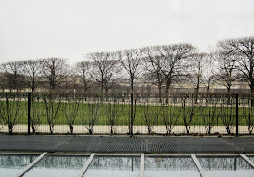 Paris: winter trees in the Tuileries
