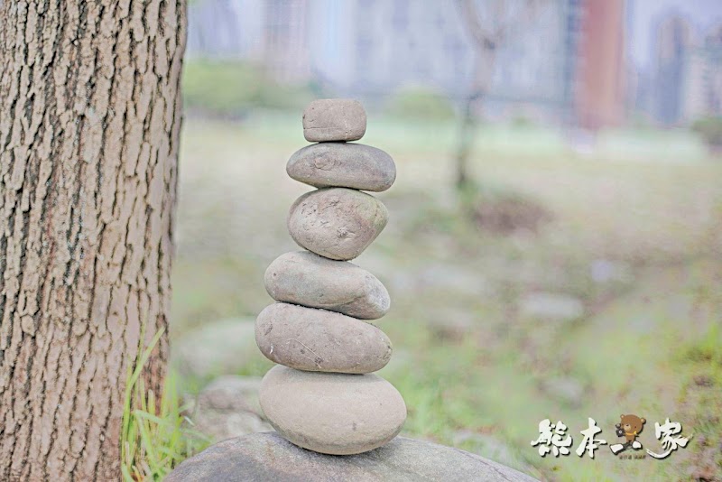 心湖櫻緣|三峽台北大學「心湖櫻花步道」-杜鵑、吉野櫻、木棉花齊綻放