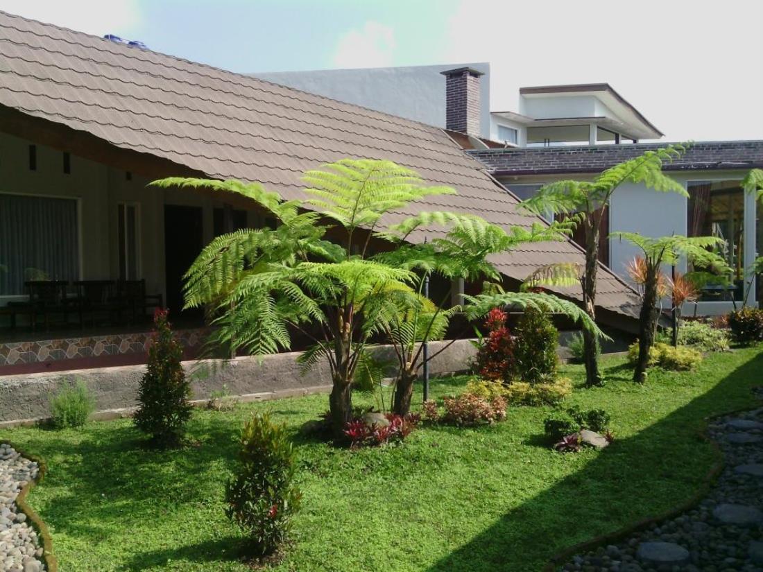 Berpesta Kebun Di Belakang Rumah Jasa Desain Gambar Rumah