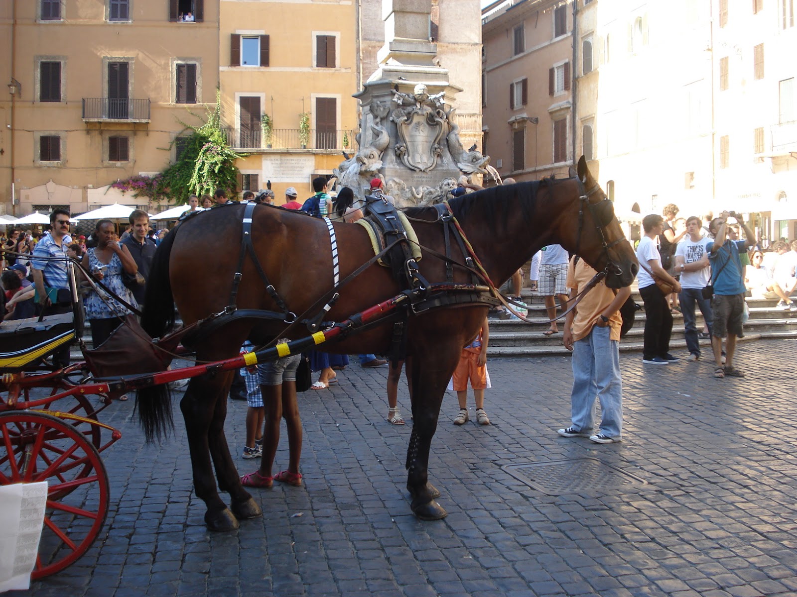 My Favorite Destinations! Rome, Italy