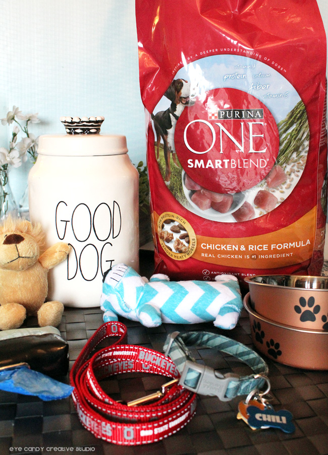 Eye Candy Creative Studio DIY Personalized Doggie Bag