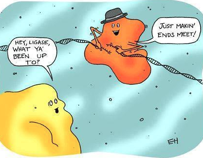 Science Jokes