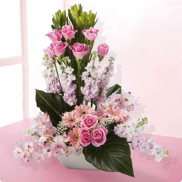 My Image 33