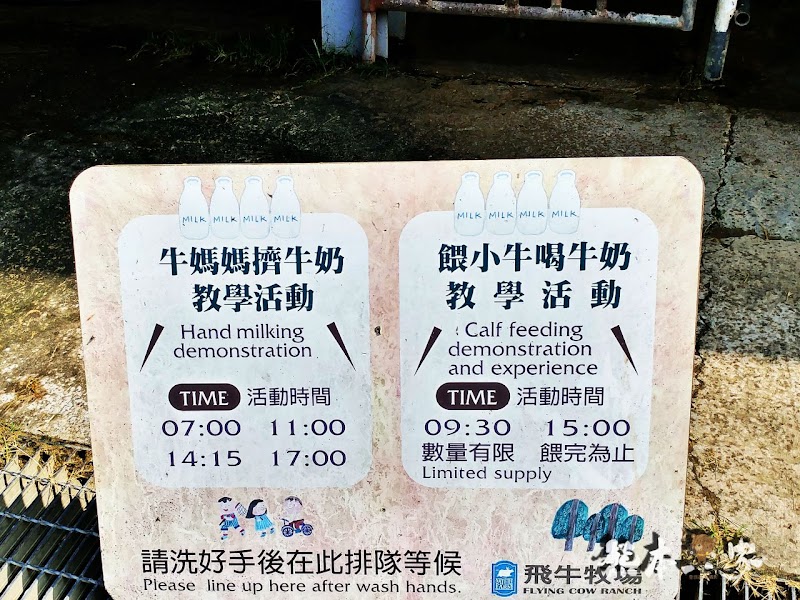 媲美清境青青草原|苗栗飛牛牧場|乳牛綿羊生態區~擠牛奶餵小羊小牛體驗