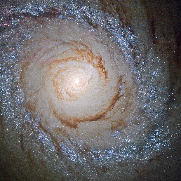 Starburst Spiral Galaxy M94