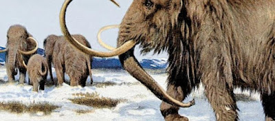 Η έλλειψη νερού η αιτία εξαφάνισης των μαμούθ πριν από 5.600 χρόνια