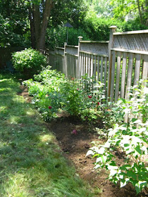 Garden bed cleanup after by paul jung ecological and organic gardening services toronto