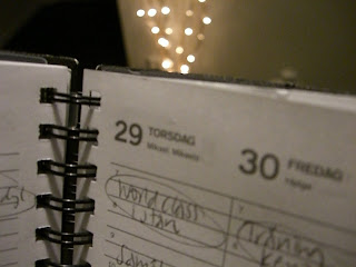 CIMG2533 - Planera din träning