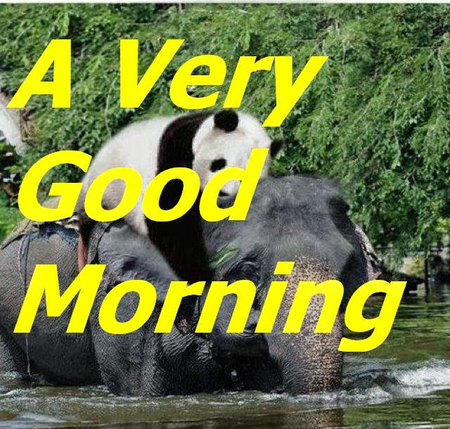 A friendly panda to elephant in forest saying morning wishes to that elephant Latest Good