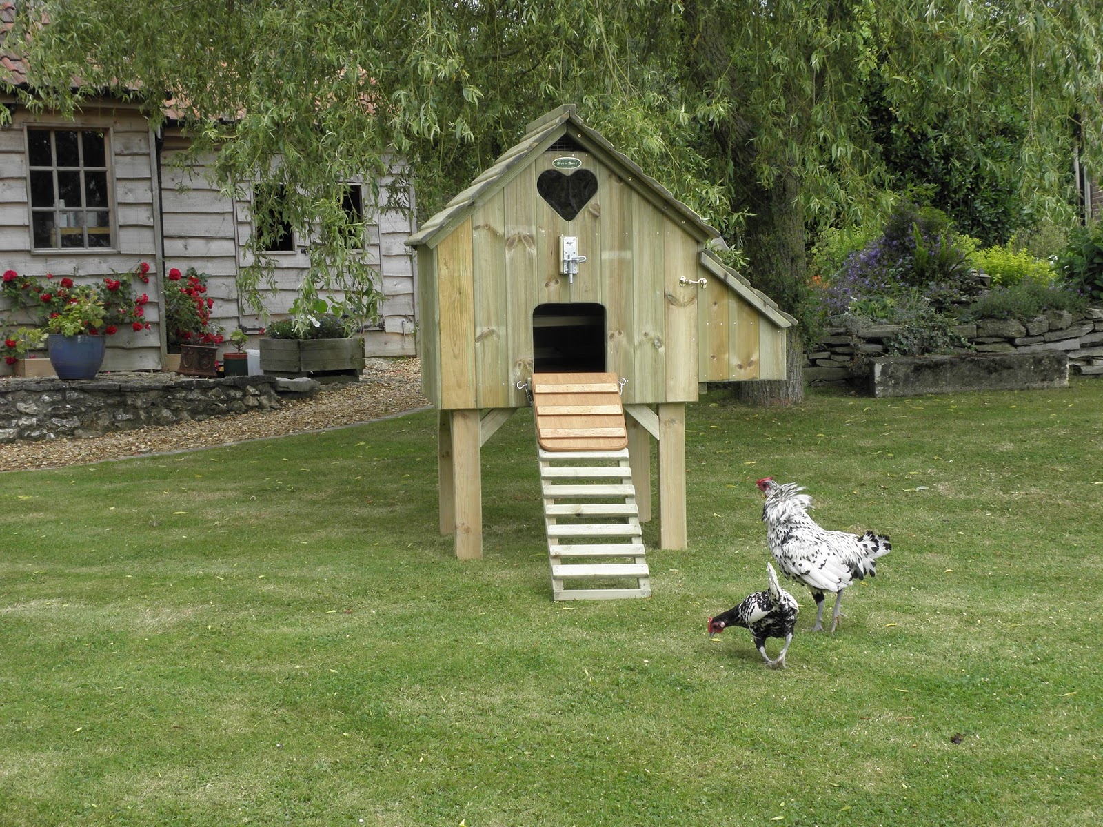 Flyte So Fancy: How Big Should My Hen House Be?