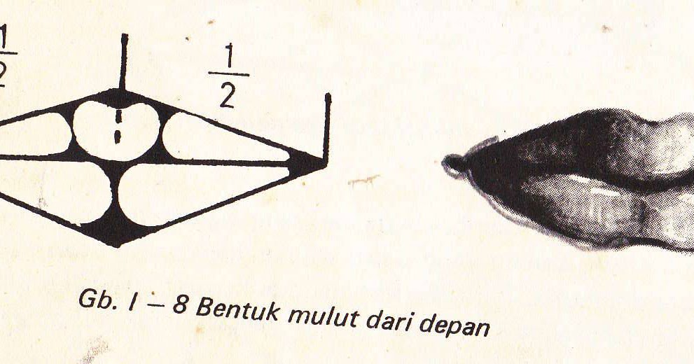 Simple ART cara menggambar sketsa mulut manusia dengan mudah